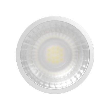 bry premium 5w 3in1 38d mr16 led modul 223544 17 B