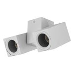 Plafonska lampa Duo Lumen